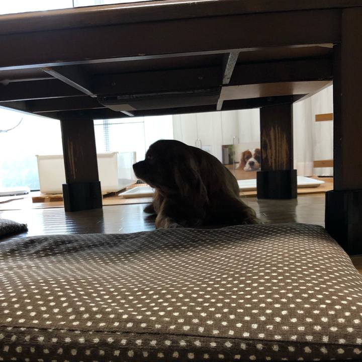 251bb9bb 1d06 40be 922d 0c77c899b558 1569413966104