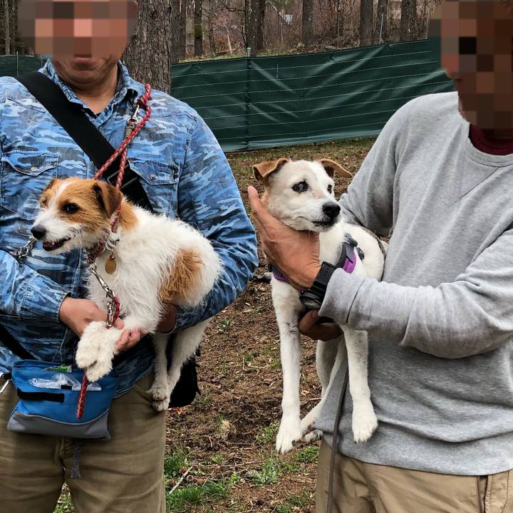 251bbffc d5db 4397 b153 7072c0e52b8b 1556712800973