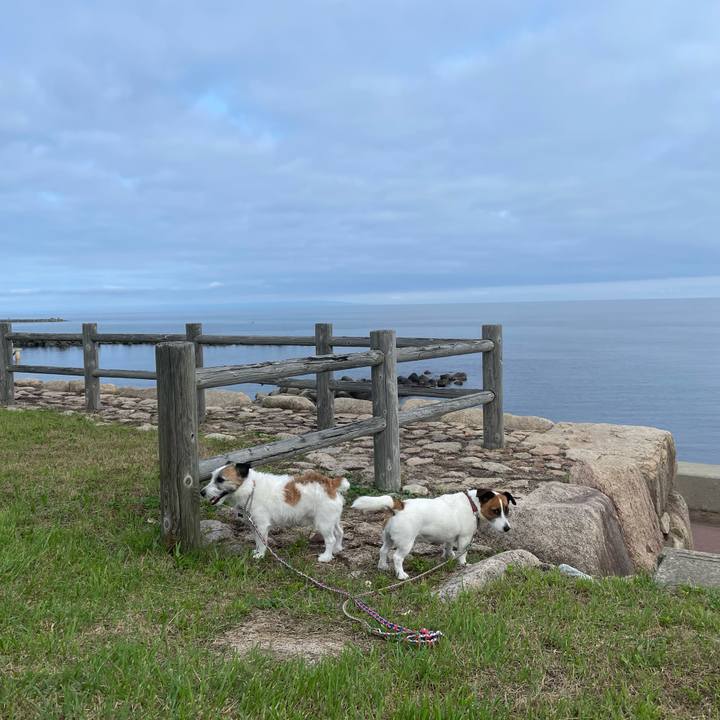 251bcffb deff 4530 8383 21b623fa3275 1751151489625