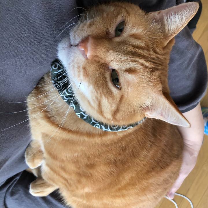 251c1255 bffa 4c03 8ad4 130379981ffa 1614985707821