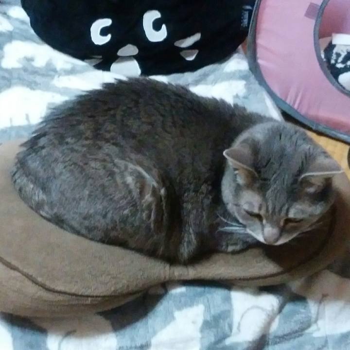 251c30e6 2c8d 4353 bba9 f09c2defac13 1551938611496