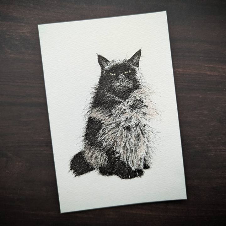 251c719d 9b10 4d1d a60e df6dceffae2b 1734431111696