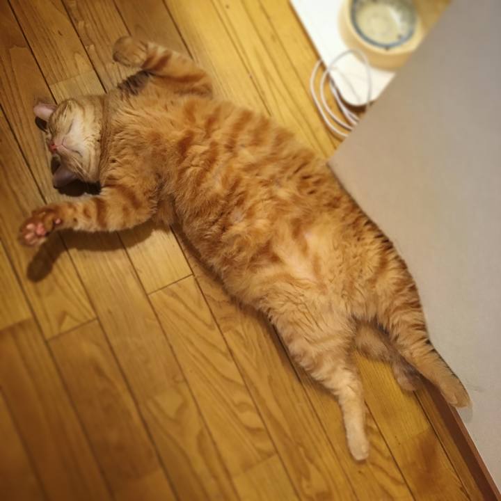 251c8272 837d 4634 8365 eeca2d78fcca 1568593549139