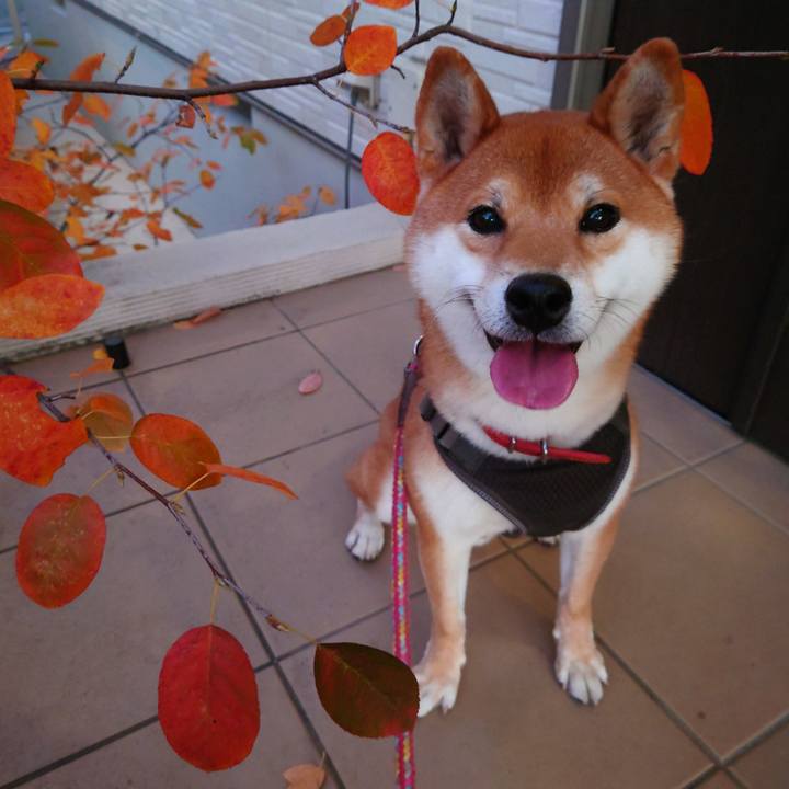 251ca57c b894 40a6 aca8 d4bb0fa3919b 1763803855680