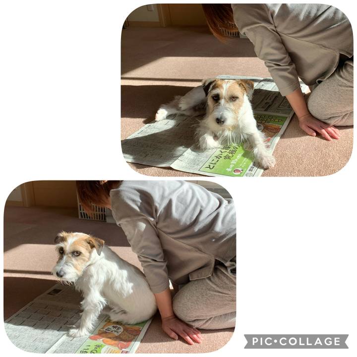 251ce369 4c80 4113 8712 540a2f7a6841 1638154931712