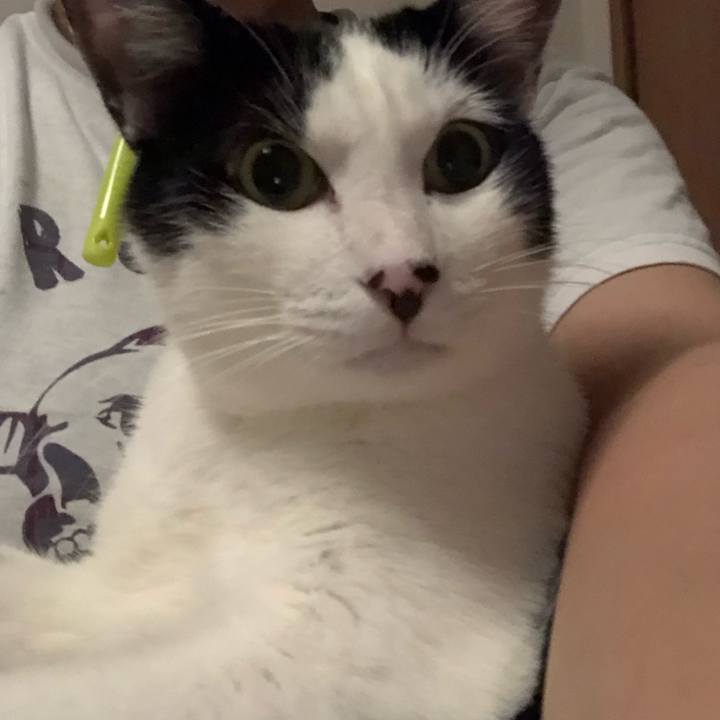 251d0712 45be 47d7 ad9a 363f0b01951f 1565456316758