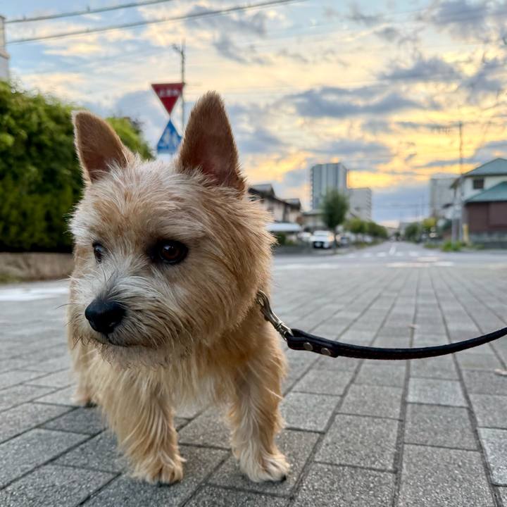 251d2cb1 e1b3 4fb4 8c16 b2f6ba26dda7 1761729132066