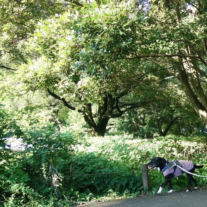 251d4afb 1d17 44b0 b087 2906182b9a4d 1659917484694