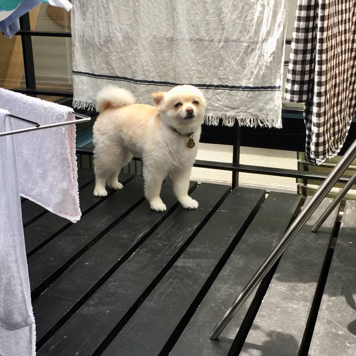 251d4d07 8b7b 4263 81f5 29e367df9e04 1596250210708