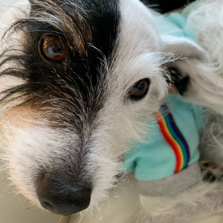 251d5948 5111 4032 880f 266511f51ebc 1644719750166