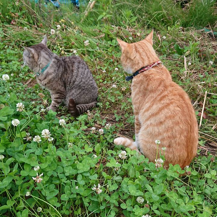 251d67bd a22f 452b 9ee8 84b86793a113 1563224255944