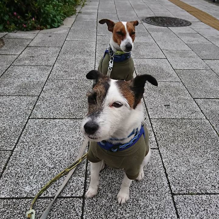 251d6ff9 cc7f 4229 9f22 43823ff9eb8e 1586647860579