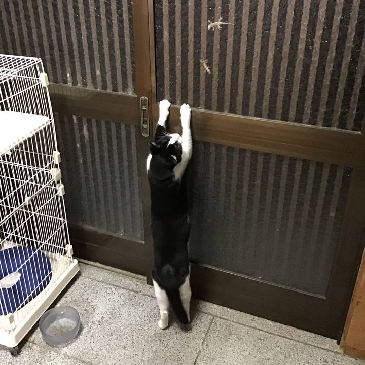 251d88a5 9790 437f aca9 b77889bcc535 1696243851438