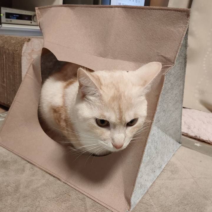 251da1bf 9691 45da a337 41d44381647c 1675324763692