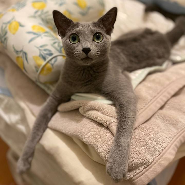 251da96e 5f27 4eca aba5 ccf8f3dbf76f 1665139208339