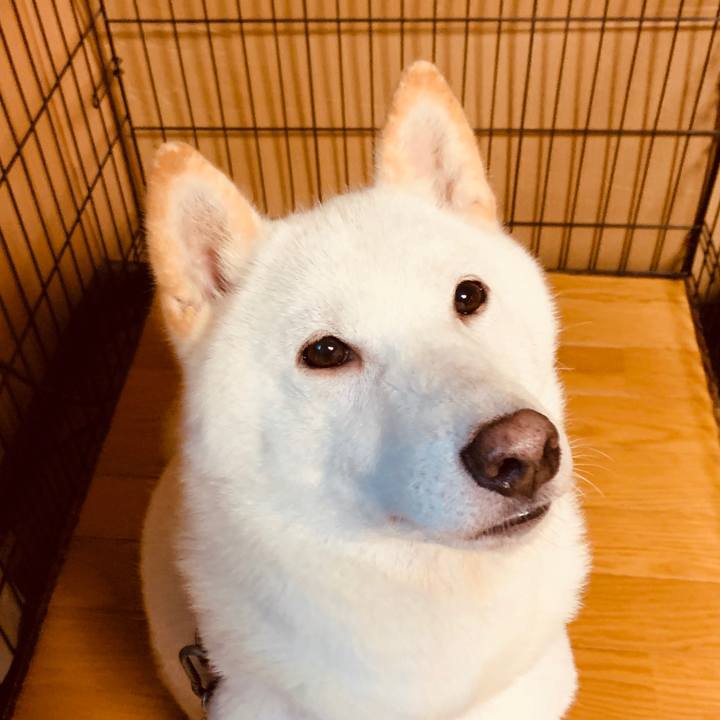 251dcb55 9527 4cf8 a4c0 4968bab56589 1566941649769