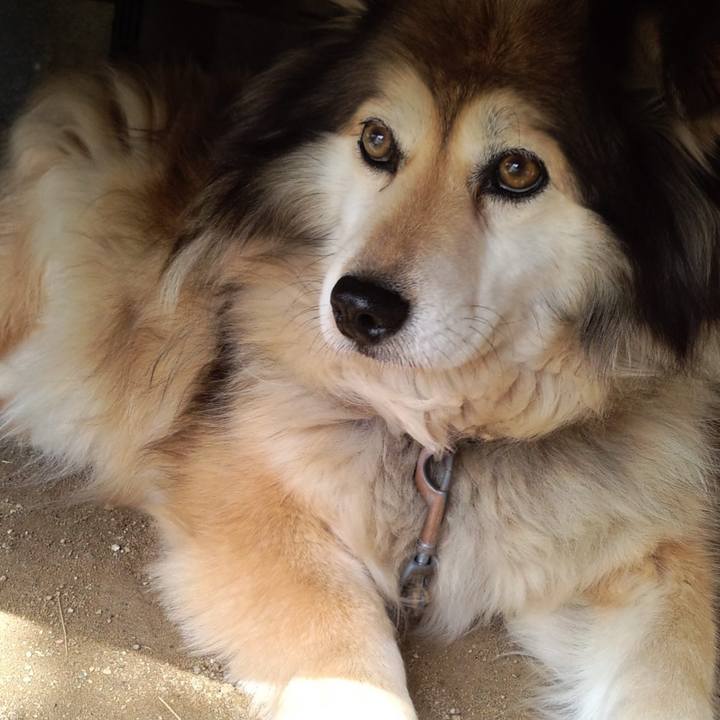 251e00ac f633 48af 8190 9c6d24c36529 1577152800084