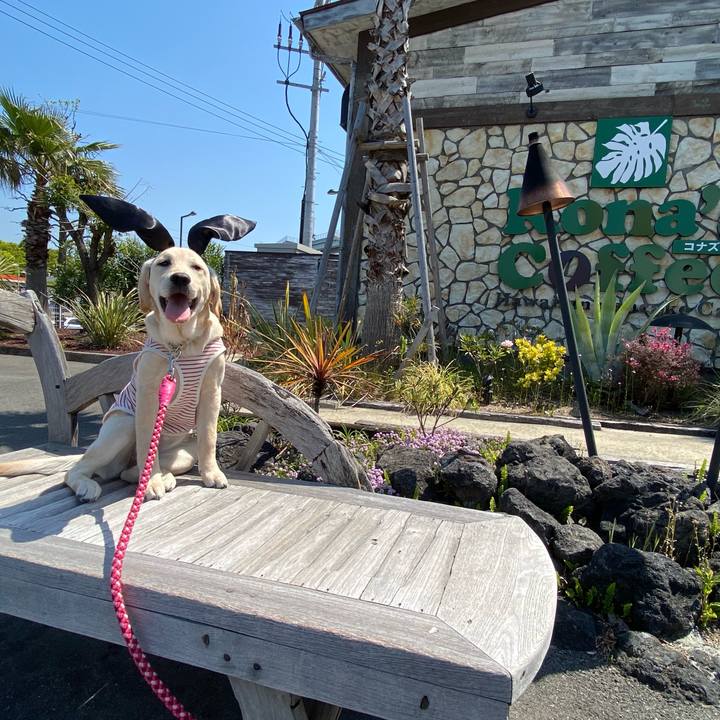 251e2615 4bc1 4a86 932a 004a21edfdf1 1618906948129