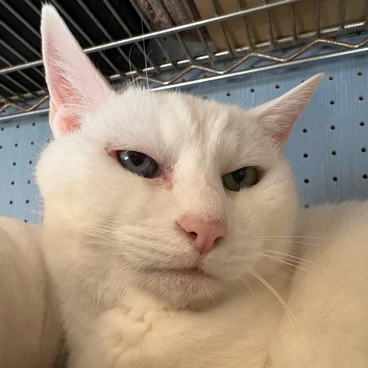 251e2700 4dd7 4fc6 8065 e286aebd97ee 1767248318673