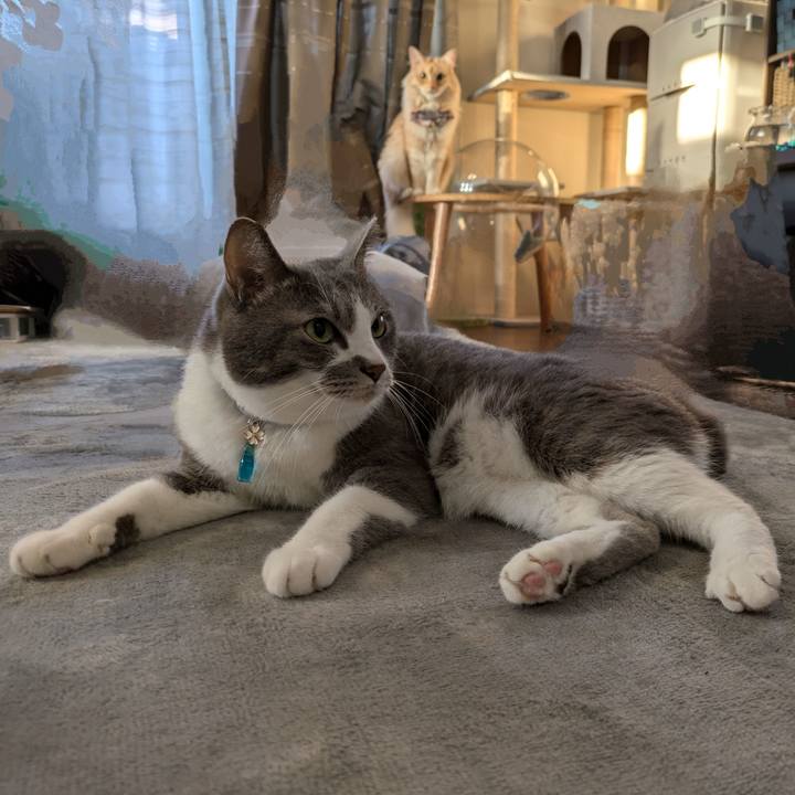 251e2c44 1333 416f b28f 94af75a69180 1726524099266