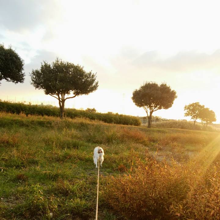 251e432c fe09 475e 9c40 7f3868150f70 1541417694156