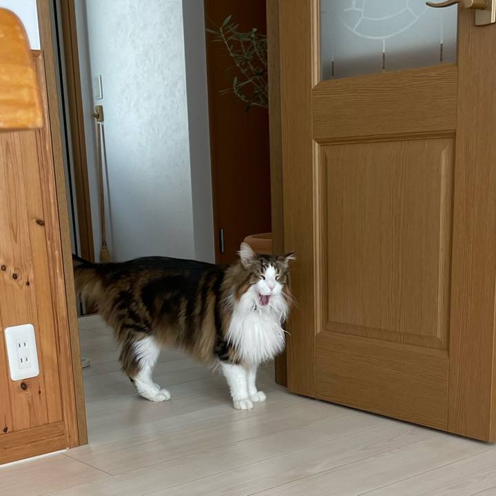 251e4750 cc7d 4dbc 85b7 69b249cb8eef 1681539762183