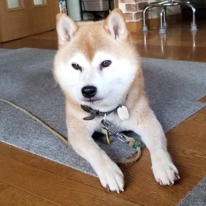 251e52ab 2c4d 41fc a417 8cc017fcd003 1626419683353