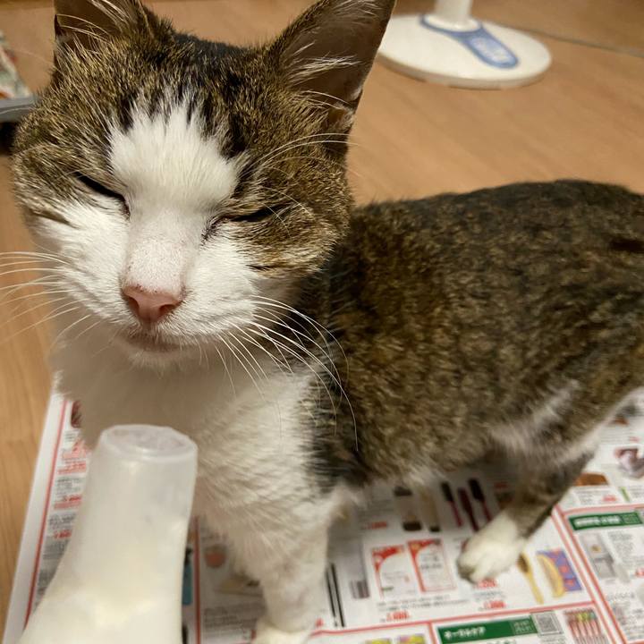 251e5390 1905 43fb ab17 cf082c6a707c 1596715184542