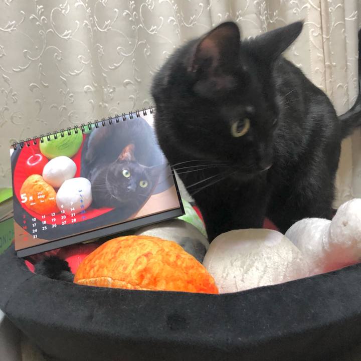 251ebabe 07c3 4cf1 ab24 7cd83514b169 1620219362032