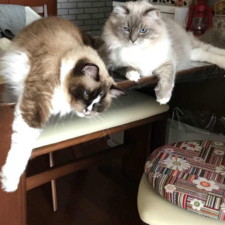 251ec97c 678c 4a12 9775 5403f1bcbadc 1508161534717