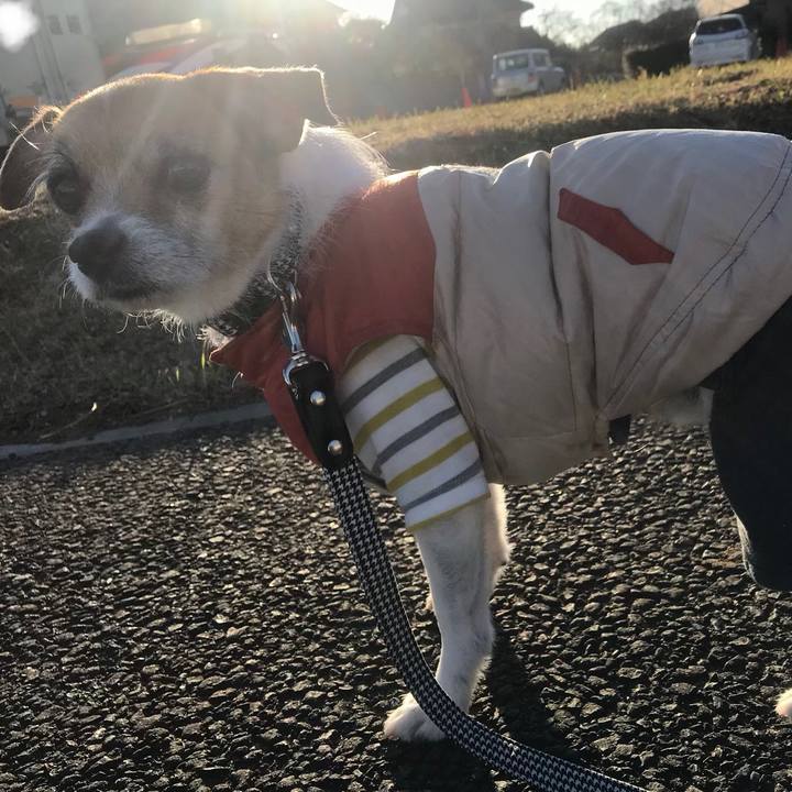 251eddfc 59c7 4f0a bf3d e2717ce0d207 1515624989319