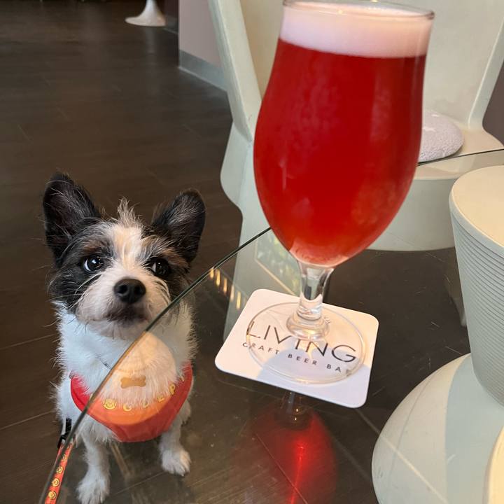 251ee2ba e055 4614 a6d8 f6d033c9cf0d 1665233562344