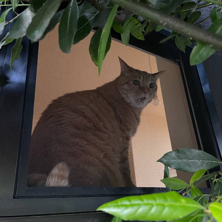 251f1954 6c63 4d53 b603 c6a304ed17bf 1683476536233