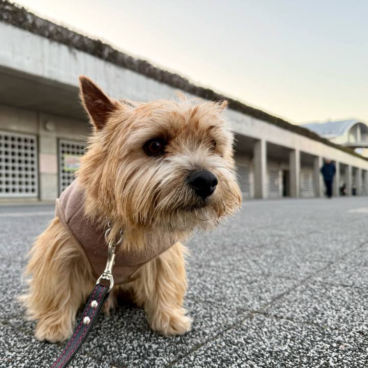 251f499b 9a40 4217 9d7f ee9c3fc1ff6a 1768768298714