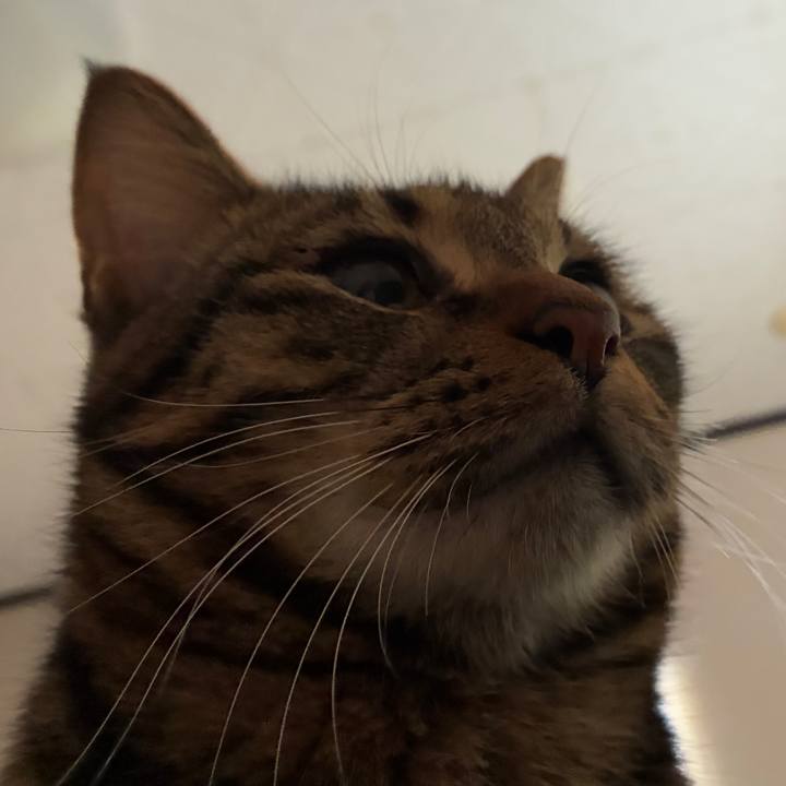 251f55bb f21b 4106 9a23 e78efa4b5d59 1767136533699