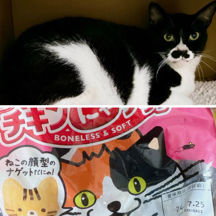 251f8497 f14b 4088 9aeb 55d608fd093b 1720322851454