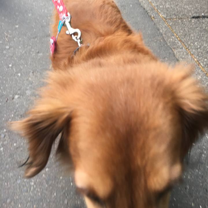 25205805 9645 4df7 a43e e70ee5254c43 1523874117166