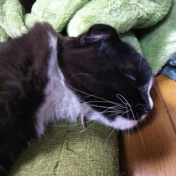 25205ecc 0239 4aaa b332 011ffe0a2a3e 1644465925073