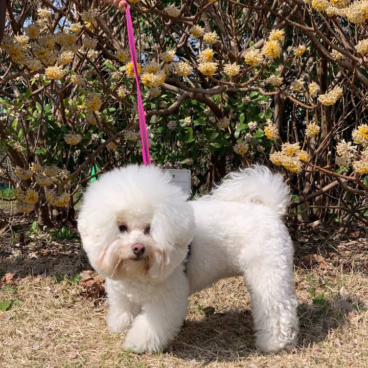 25206c23 6f30 4ed1 b3d7 4dedede34819 1710932071980