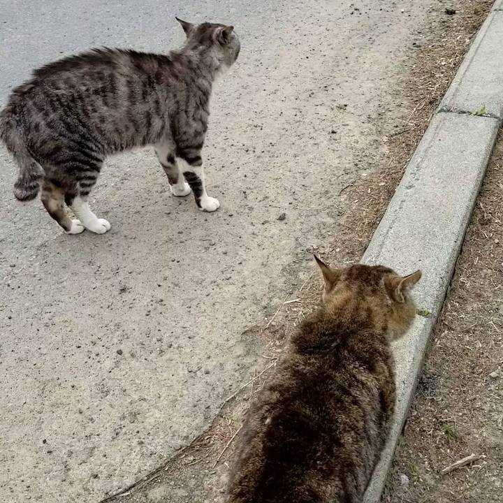 252083c6 13b6 413b 97c5 a59f718dd2a5 1589977607956