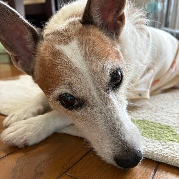 2520bb61 61ba 4c38 be1b b391d2538bbb 1759102556198