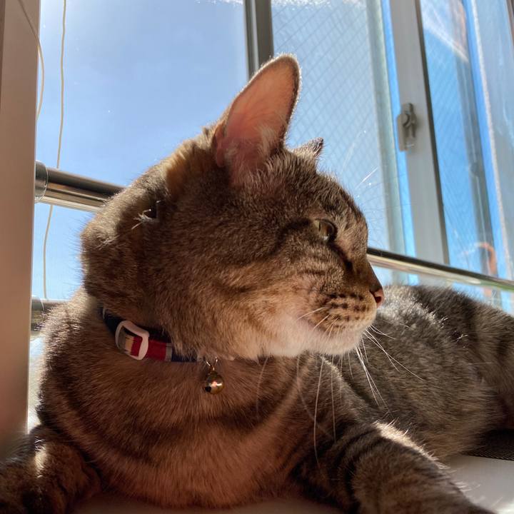 2520de93 56bd 44e9 ad99 b8c11cd96fca 1665552034870