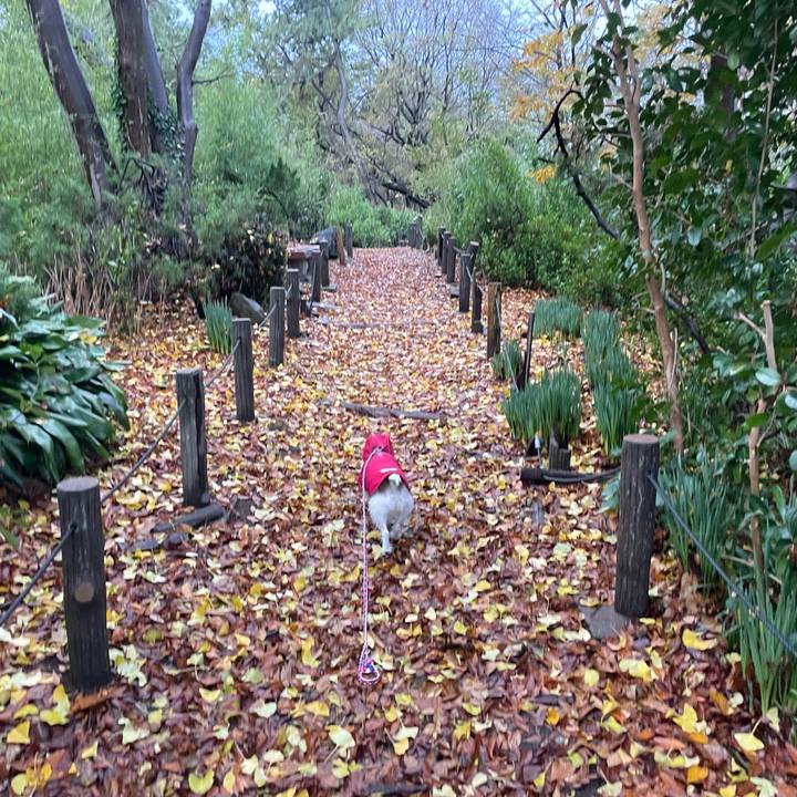 252104f5 a00a 41fb bcda d10a17d73c65 1733355359822