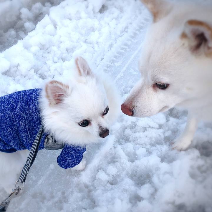 25210710 45a7 40cd ae07 1e0579dc6a35 1608716631894