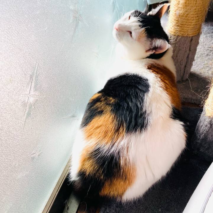 252120b7 f971 4a0f b5ef 21ac56036218 1669975314360