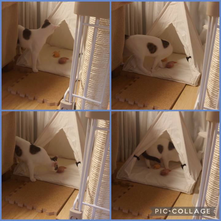 25213922 d046 4a6d 970d 25284fe21316 1691896145798