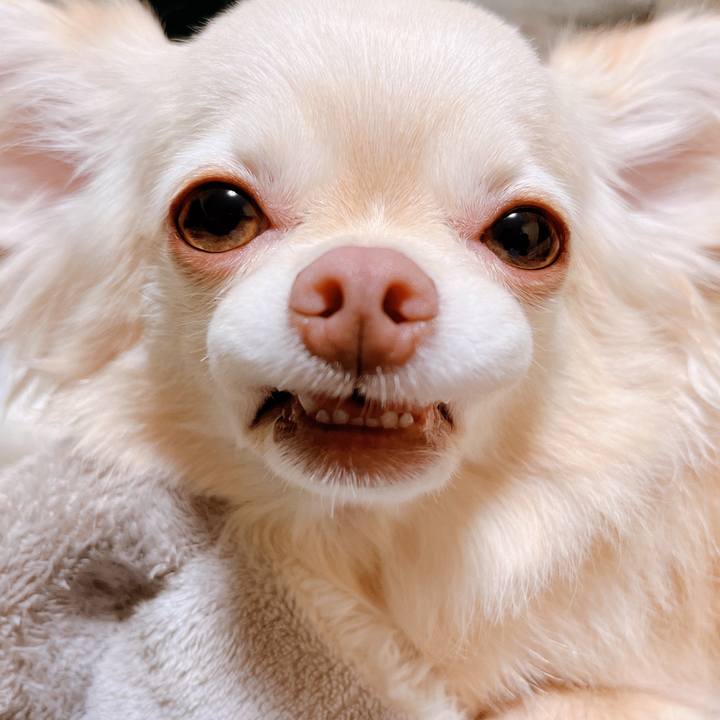 25217930 1ffb 4722 a580 92e7fd43b6fd 1655360952832