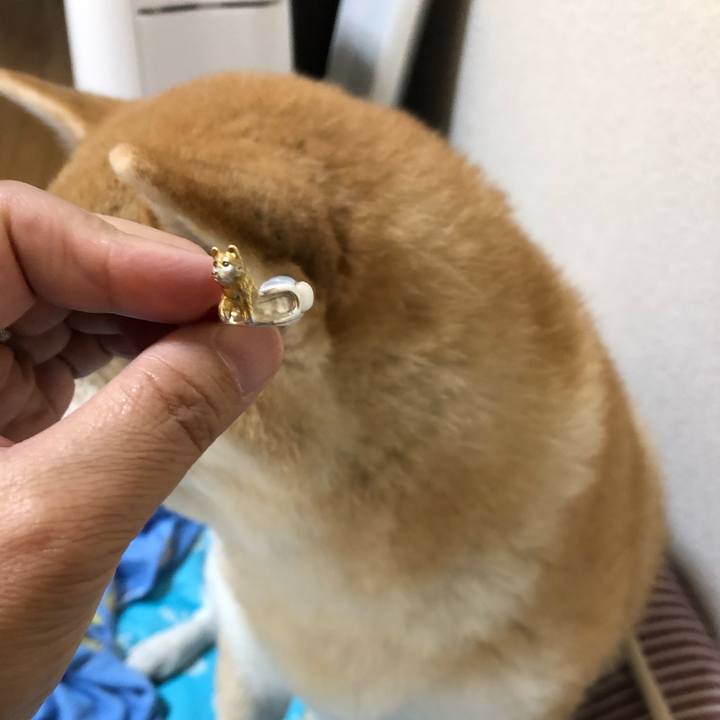 2521ad26 3f1c 4fd1 a82c b90456a1b80d 1565530436278