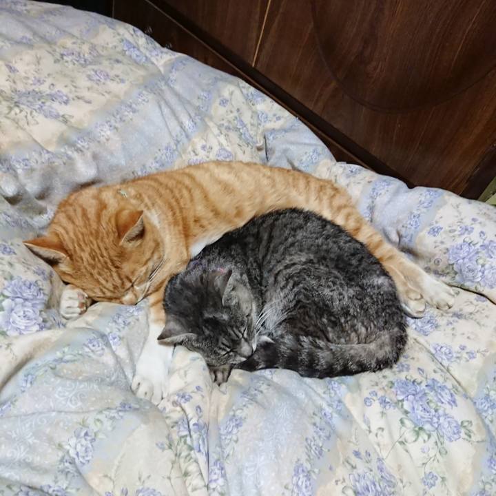 2521aeac 486c 4c62 b7bd 3f8b58c27968 1580043421978