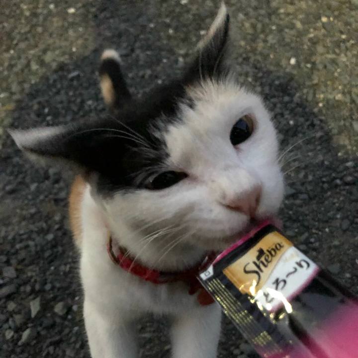 25220543 2c3a 4595 a0fb ca758c701154 1632311082504